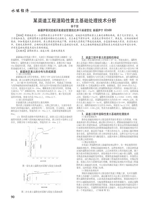 某渠道工程湿陷性黄土基础处理技术分析