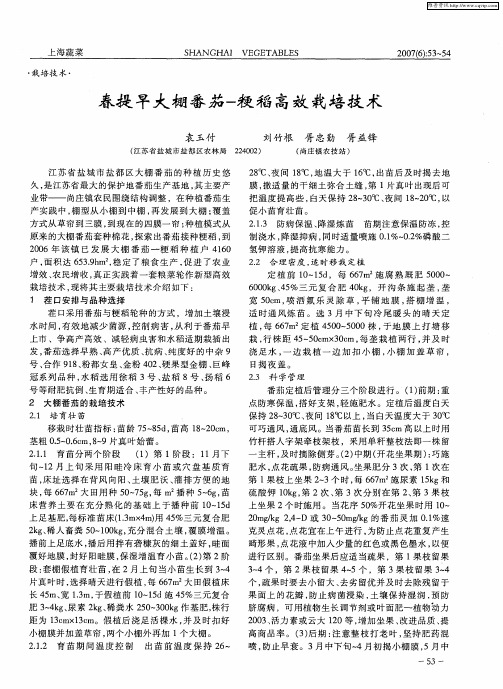春提早大棚番茄-粳稻高效栽培技术
