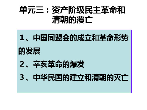中国同盟会的成立和革命形势的发展PPT资料25页