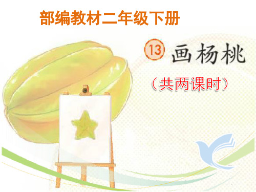 部编版二年级下册《画杨桃》最新精品ppt课件