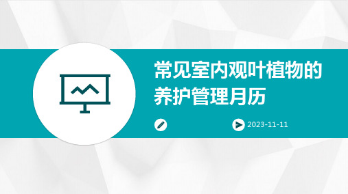 常见室内观叶植物的养护管理月历
