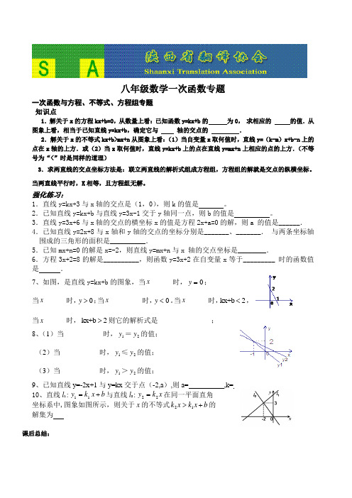 函数专题