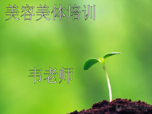面部刮痧 ppt课件