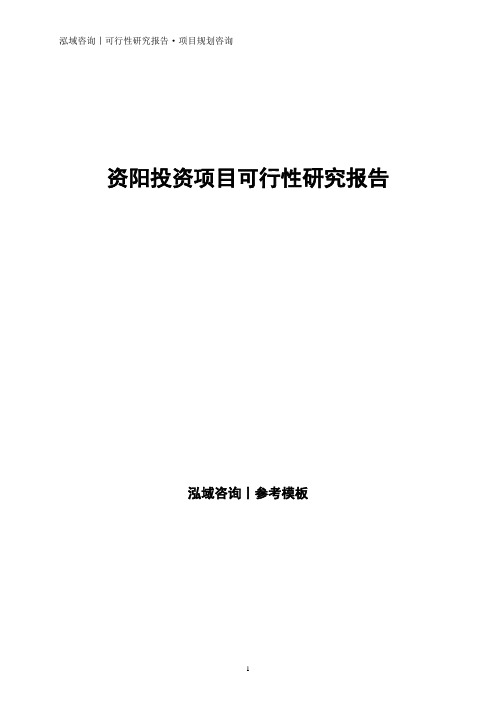 资阳投资项目可行性研究报告