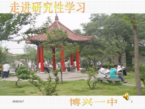 走进研究性学习