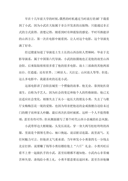 《小武》观后感精选范文精选