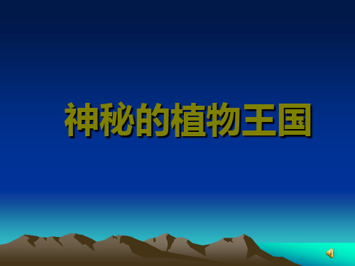 神秘的植物王国