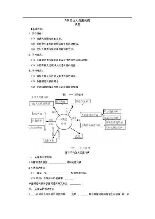 4.5关注人类遗传病学案(苏教版必修2)