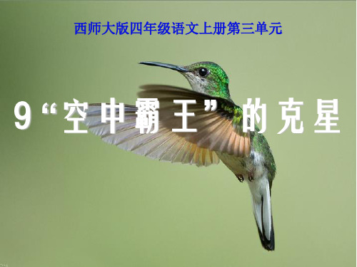 《“空中霸王”的克星》PPT课件3