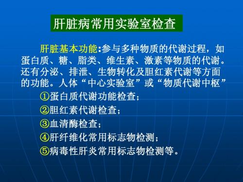 肝脏基本功能