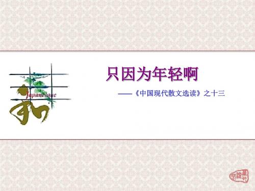 【高中语文】只因为年轻啊ppt精品课件3