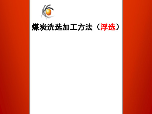 煤炭洗选加工方法(浮选)方案