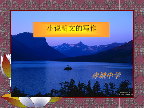 初中作文指导：小说明文的写作PPT优秀课件