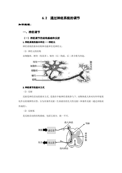 高考生物知识梳理6.2通过神经系统的调节