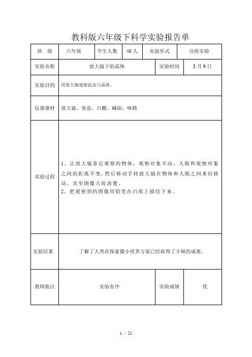 教科版六年级下科学实验报告单新版