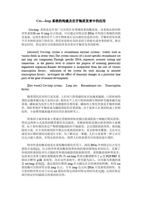 Cre—loxp系统的构建及在牙釉质发育中的应用