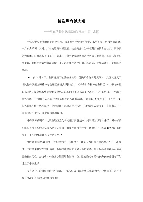 情注煤海掀大潮