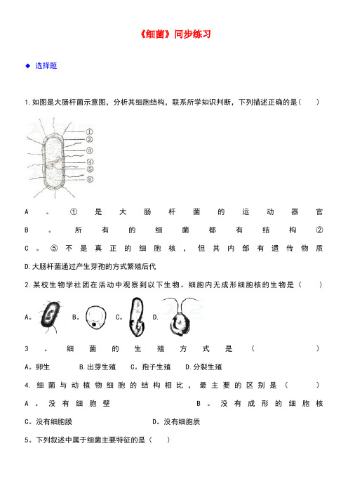 八年级生物上册5.4.2《细菌》练习新人教版(new)