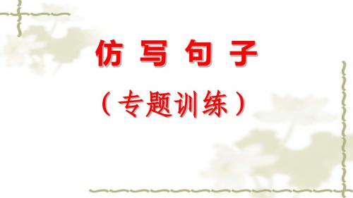 形神兼备巧仿句(新2013级)