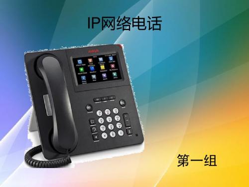 IP电话网络(GAY)
