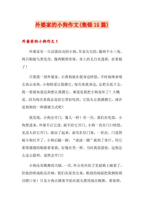 外婆家的小狗作文(集锦15篇)