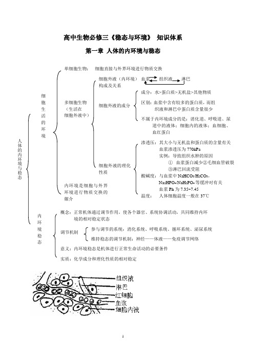 稳态与环境知识体系 完整版