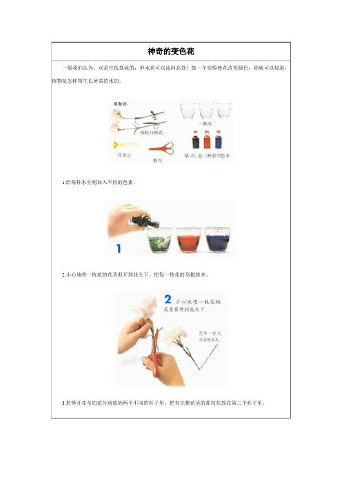 神奇的变色花