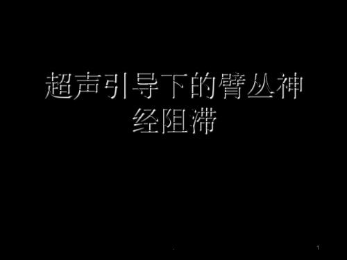 超声引导下的臂丛神经阻滞ppt课件