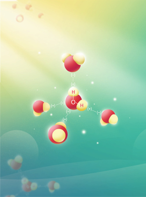 高中化学(珍藏版讲义)——  第十一讲-分子的性质