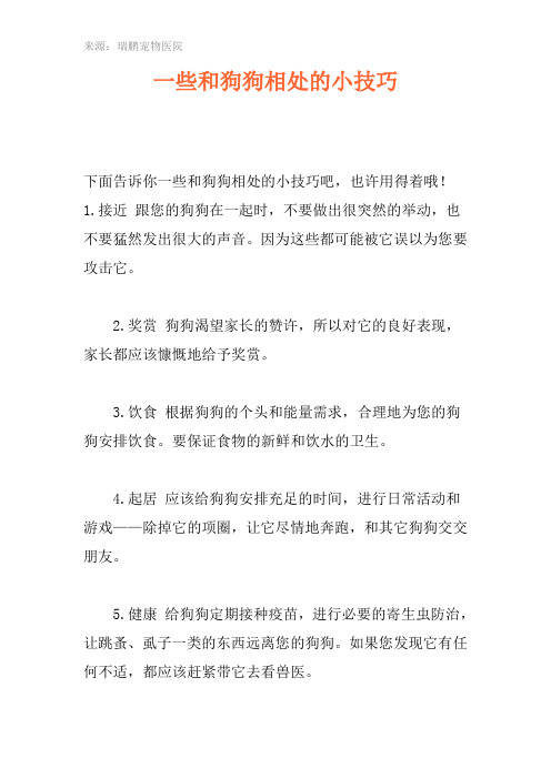 一些和狗狗相处的小技巧