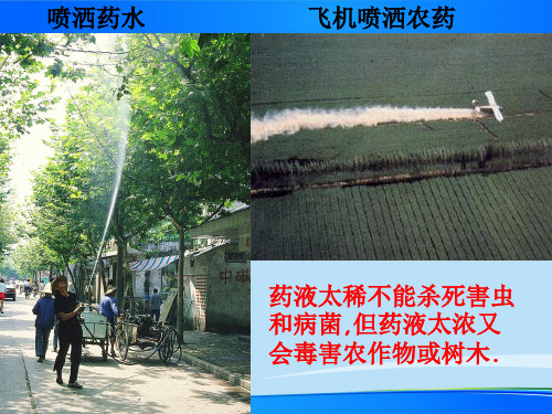 人教版初中化学九下9.3 溶液的浓度 溶质的质量分数 课件 最新课件