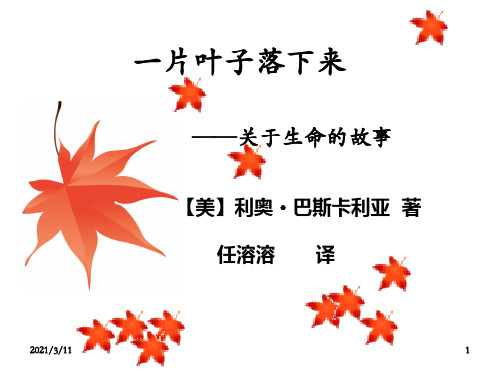 生命教育绘本故事-一片叶子落下来liyanpeng