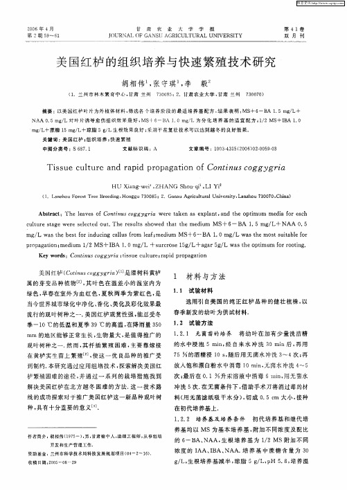 美国红栌的组织培养与快速繁殖技术研究