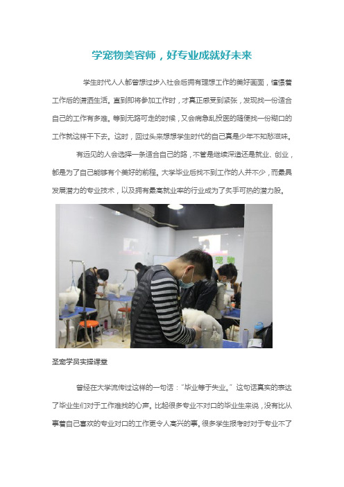 学宠物美容师,好专业成就好未来