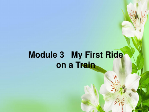 外研版高中英语必修一Module 3My First Ride on a Train216张PPT课件ppt