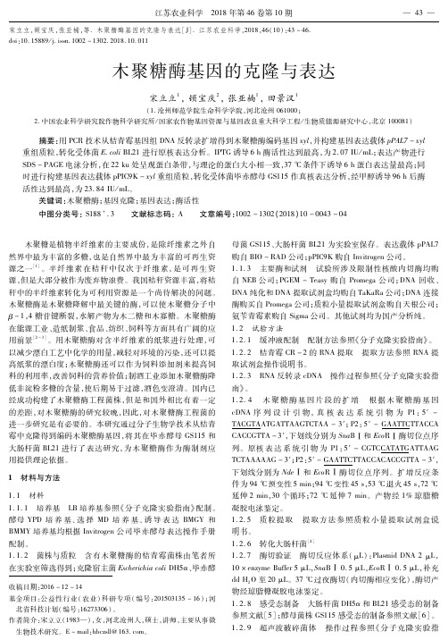木聚糖酶基因的克隆与表达