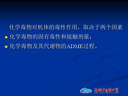第2章 外源化学物在体内的生物转运