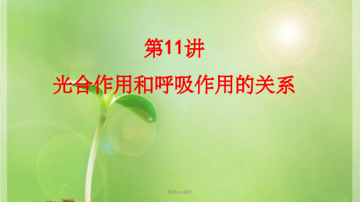 光合作用和呼吸作用的关系(一轮复习)ppt课件