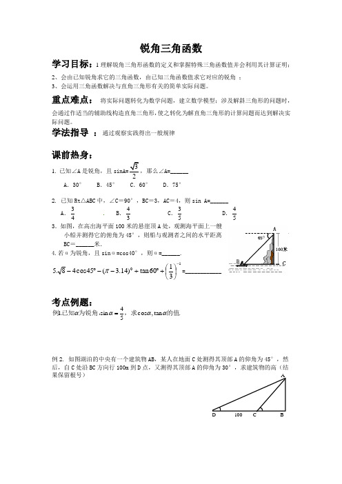 湘教版(2012)初中数学九年级上册 4.3 锐角三角函数 教学案