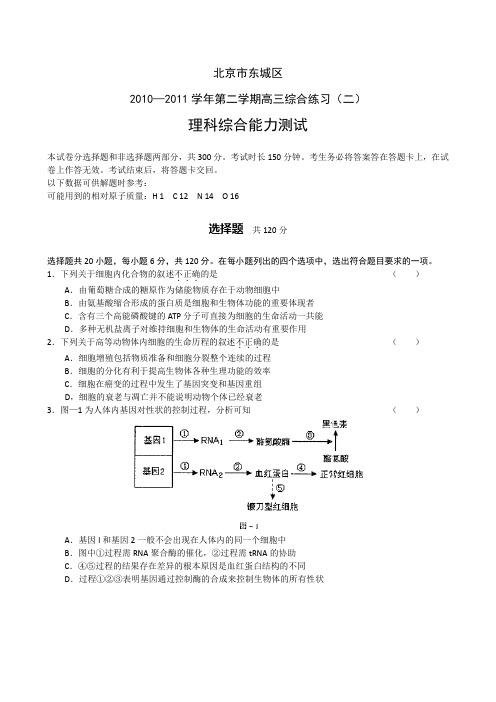 北京市东城区2011届高三综合练习(二)(理综)