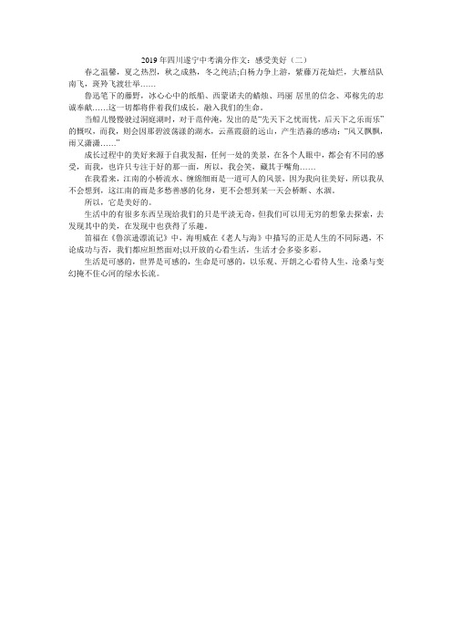 2019年四川遂宁中考满分作文：感受美好(二)