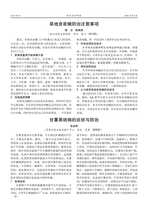 甘薯黑斑病的症状与防治