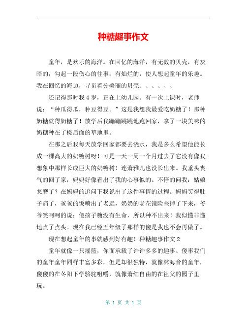 种糖趣事作文