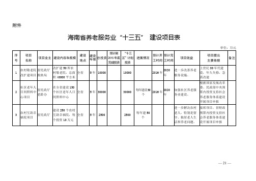 海南省养老服务业十三五建设项目表【模板】