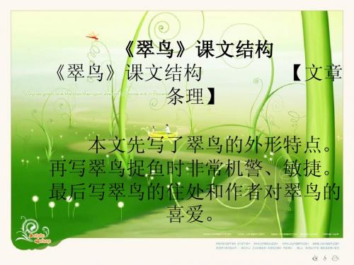 翠鸟 讲解