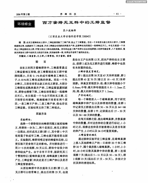 西方蜜蜂无王群中的工蜂监督