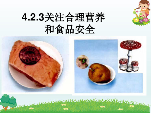4.2.3 关注合理营养与食品安全(课件)七年级下册生物备课无忧精美同步课件(人教版)
