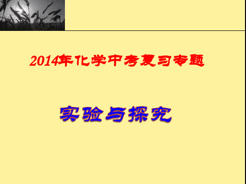 2014年化学中考复习专题(实验与探究)