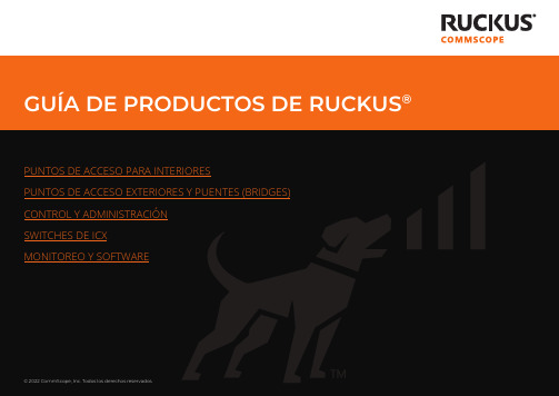 RUCKUS 产品指南说明书