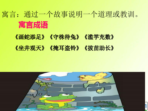 北师大版《井底之蛙》PPT幻灯片